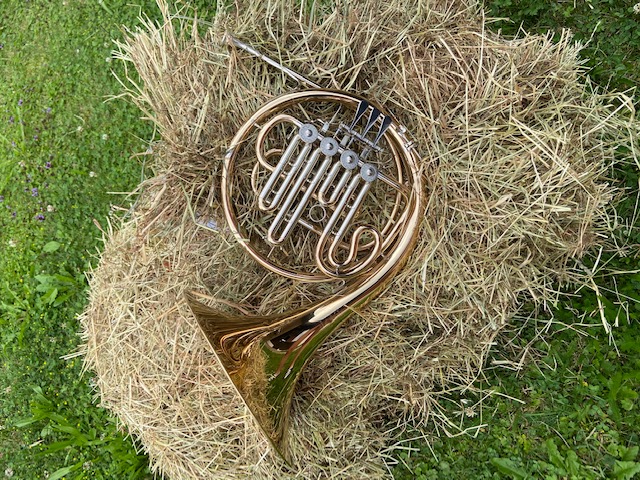 Horn