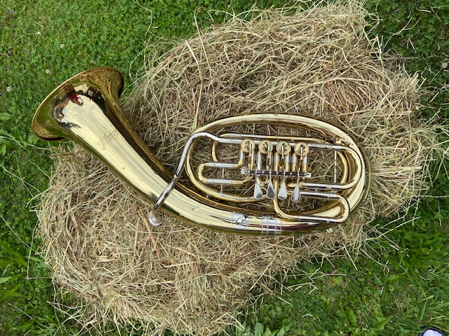 Tenorhorn