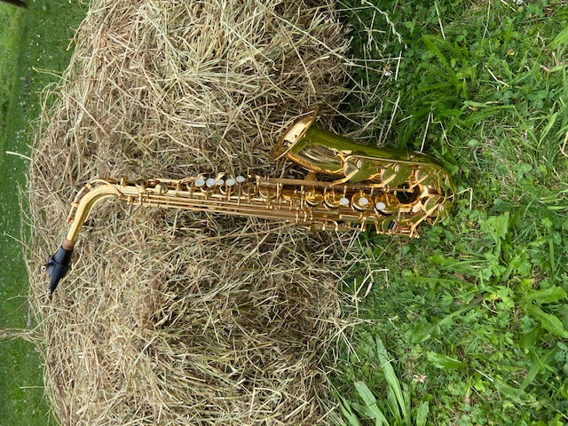 Saxophon (Alt und Tenor)