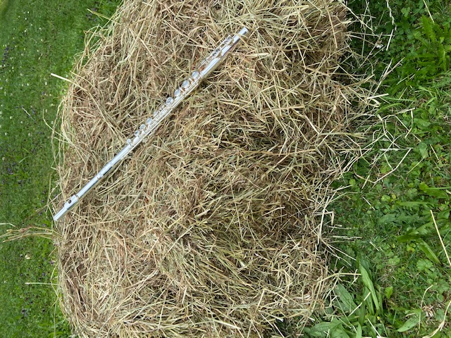 Querflöte